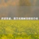 逆战朱雀，英文名揭秘及枪型介绍