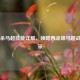 三国杀马超技能详解，领略西凉锦马超战场风采