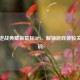 雷蛇逆战典藏版鼠标DPI，解锁游戏体验关键密码