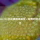 重温2010 NBA总决赛超清盛宴，经典时刻永不褪色