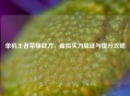 单机王者荣耀战力，虚拟实力见证与提升攻略