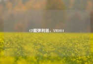 CF霰弹利器，XM1014