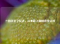 三国杀长子玩法，从零踏上策略竞技征程