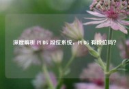 深度解析 PUBG 段位系统，PUBG 有段位吗？