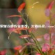 王者荣耀冷静阵容推荐，沉着应战，carry全场！