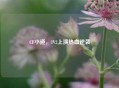 CF小道，1V2上演热血逆袭