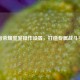 王者荣耀皇室操作设置，打造专属战斗手感