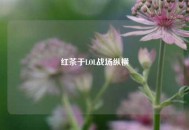 红茶于LOL战场纵横