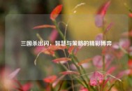 三国杀出闪，智慧与策略的精彩博弈