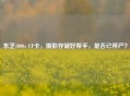 东芝1000x CF卡，摄影存储好帮手，是否已停产？
