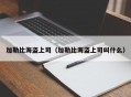 加勒比海盗上司（加勒比海盗上司叫什么）