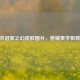 CF毁灭冠军之幻皮肤图片，枪械美学极致呈现