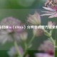 使命召唤16（COD16）分辨率调整     全解析