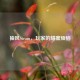 抽风Steam，玩家的甜蜜烦恼