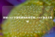 探秘 CSGO 小猪哥赛场传奇征程，CSGO 猪含义揭秘