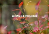 新手选择羽毛球拍全面指南