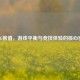 PUBG数值，游戏平衡与竞技体验的核心密码