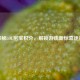 探秘LOL密宝积分，解锁游戏新惊喜途径