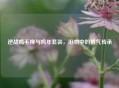 逆战鸡毛掸与鸡年套装，旧物中的勇气传承