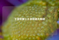 王者荣耀上王者秘籍大揭秘