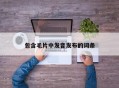 包含毛片中发音发布的词条