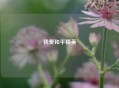 我爱和平精英