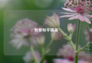 我爱和平精英