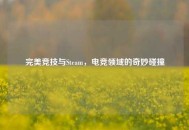 完美竞技与Steam，电竞领域的奇妙碰撞