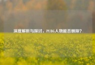 深度解析与探讨，PUBG人物能否删除？