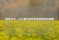 绝地求生，PUBG拳击动作带来别样游戏***
