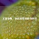 王者荣耀，各路英雄的传奇风采