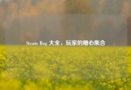 Steam Bug 大全，玩家的糟心***