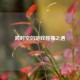 跨时空的游戏碰撞之遇
