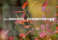 Steam国旗动态壁纸，彰显爱国情怀的独特展现