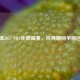 重温2017 NBA全明星赛，经典瞬间华丽回放