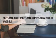 第一次摸乳房（第一次摸你的手,指尖传来你的温柔）