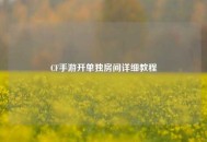 CF手游开单独房间详细教程