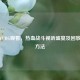 快手PUBG观看，热血战斗视听盛宴及回放快进     
