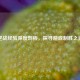 逆战经验深度剖析，探寻游戏制胜之道
