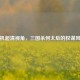 手机超清视角，三国杀何太后的权谋风云