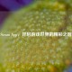 Steam App，开启游戏世界的精彩之窗