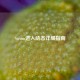 Steam进入动态详细指南