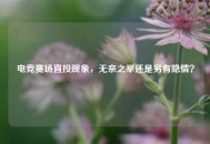 电竞赛场直投现象，无奈之举还是另有隐情？