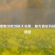 解析葡萄牙欧洲杯大名单，星光背后的战术与期望