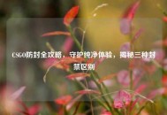 CSGO防封全攻略，守护纯净体验，揭秘三种封禁区别