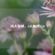 深入探秘，LOL里的7750