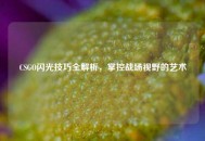 CSGO闪光技巧全解析，掌控战场视野的艺术