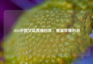 2026中国女篮直播回放，重温荣耀时刻