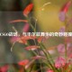 CSGO战场，与华尔兹舞步的奇妙碰撞