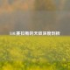 LOL赛拉斯的天敌深度剖析
